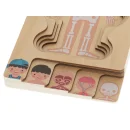 Puzzle drewniane warstwowe budowa ciała montessori chłopiec