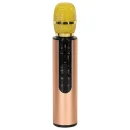 Mikrofon bezprzewodowy do karaoke Bluetooth złoty